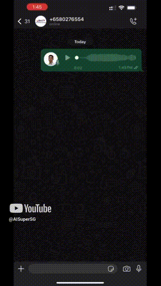 Voice & Multilingual Demo
